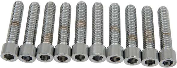 Drag Specialties Bolts - Socket-Head - Smooth - 5/16-18 X 1-1/2"