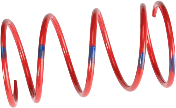 Secondary Spring 210181 Secondary Spring 210181