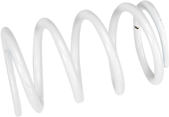 Primary Spring 210135-003 Primary Spring 210135-003