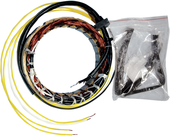 Rick'S Motorsport Electric Stator - Honda 21-100