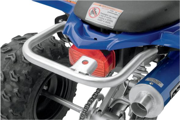 Dg Performance Grab Bar - Raptor 250 59-4525