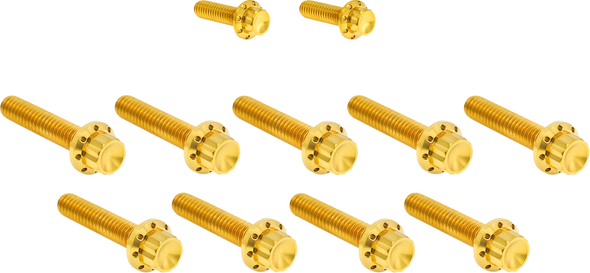 Arlen Ness Hardware Kit Titanuim 12Pt Cam & Point Gold 300-934