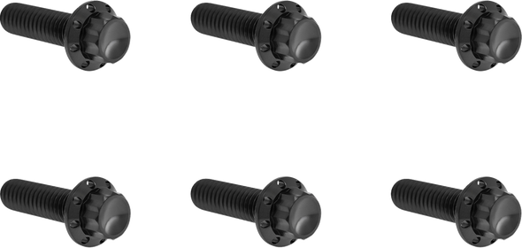 Arlen Ness Hardware Kit Titanuim 12Pt Trans Top Cvr Black 300-948