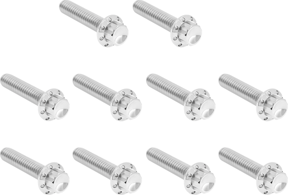 Arlen Ness Hardware Kit Titanuim 12Pt Cam & Point Cvr Polish 300-986