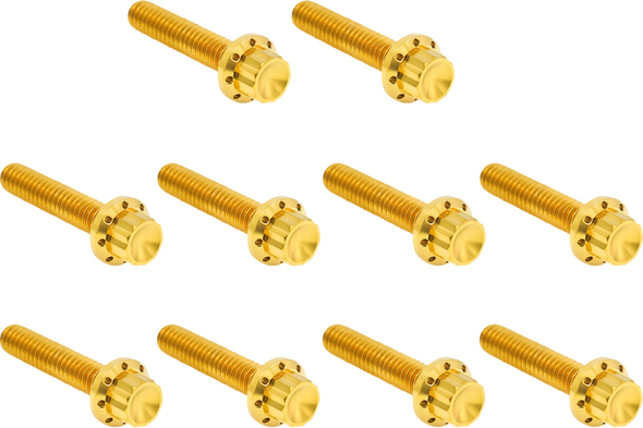 Arlen Ness Hardware Kit Titanuim 12Pt Cam & Point Cvr Gold 300-988