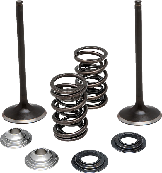 Moose Offroad Valve Kit Intake Ltr450/450Z Moose M60-62250