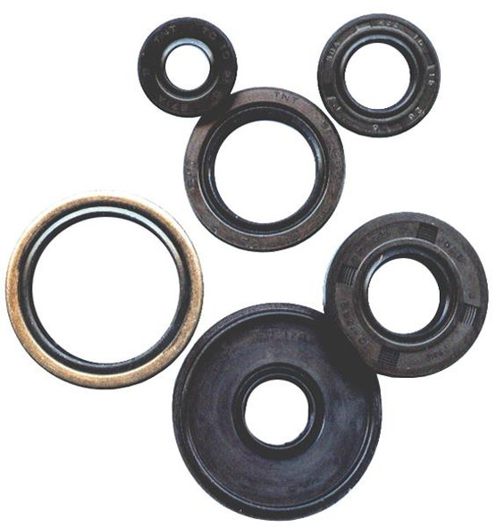Vertex Engine Oil Seal Kit 822994