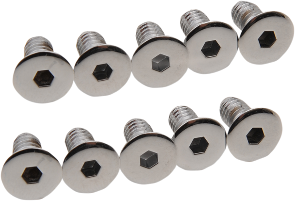 Drag Specialties Cover Screws - Derby/Inspection