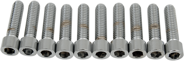 Drag Specialties Bolts - Socket-Head - Smooth - 5/16-18 X 1-1/4"