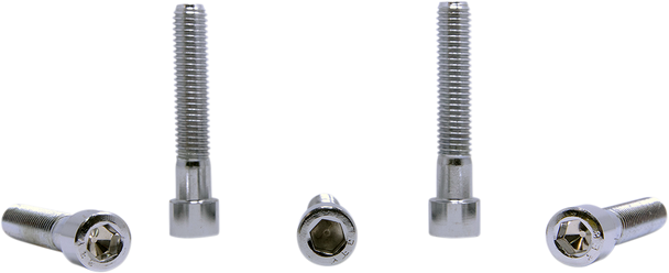 Drag Specialties Bolts - Socket-Head/Replacement - Smooth/Coarse Thread - 1/2"-13 X 2-3/4" - 5 Pack