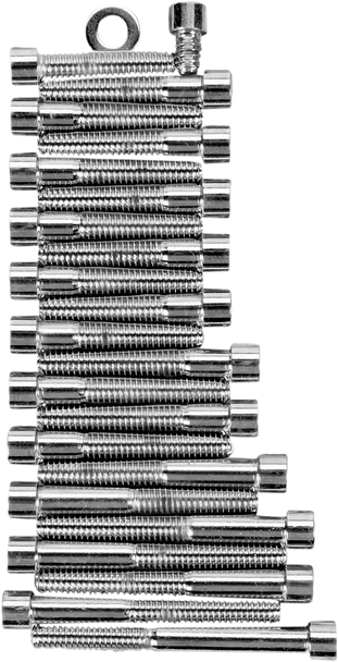 Drag Specialties Bolt Kit - Camshaft Primary - Socket-Head - Xl