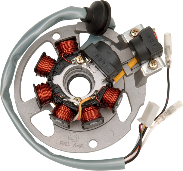 Rick'S Motorsport Electric Stator 21-550