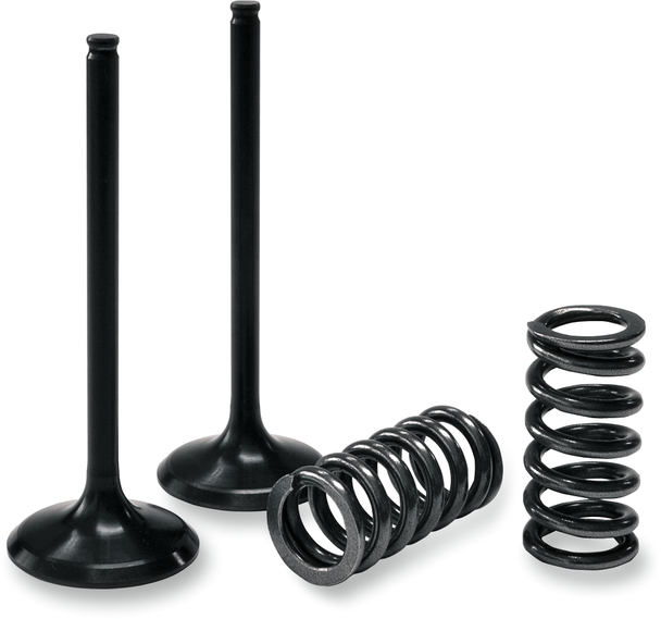 Prox Valve And Spring Kit - Exhaust - Suzuki 28.Ses3408-1