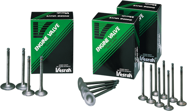 Vesrah Exhaust Valve Gg-4018-Ex
