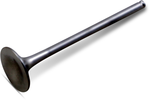 Xceldyne Exhaust Valve Xevm12001