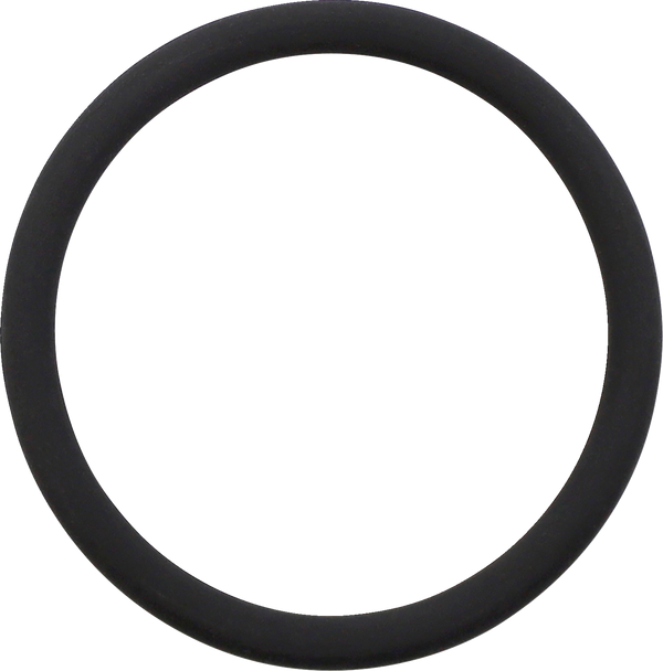 Sdi Floating Piston - O-Ring - 50 Mm Wrfpor50-16