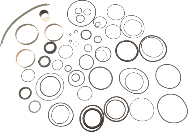 Complete Rebuild Kit 29-03-121-R