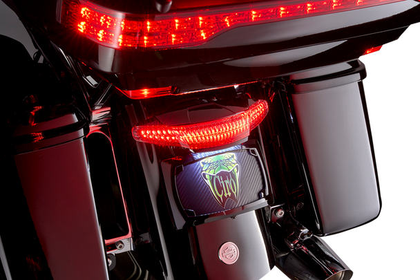 Ciro Taillight/License Plate Mount - Smoke Lens - Black 40454