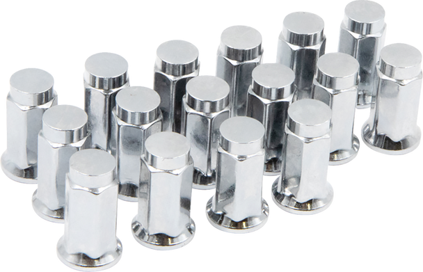 Raceline Wheels Lug Nuts - Hex/Flat - 12 Mm X 1.25/17 Mm - 16 Pack Alug16Bx