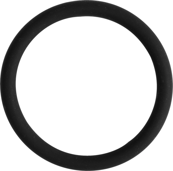 Wsm Cam Sensor O-Ring - Sea Doo 008-599-27