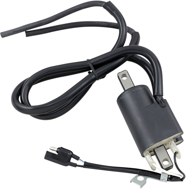 Parts Unlimited Ignition Coil Bomb.