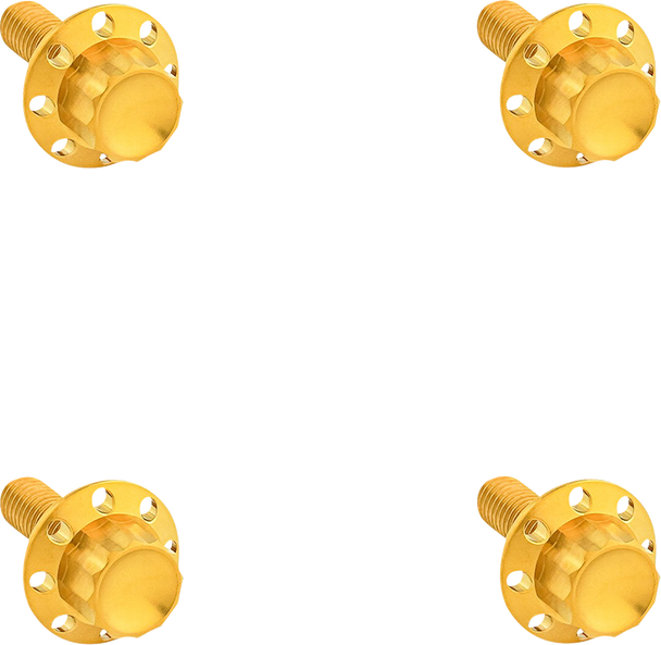 Arlen Ness Bolt Kit Titanium 12Pt  Windshield Gold 300-841