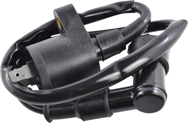 Rm Stator Ignition Coil External W/ Cap Pol/Hon/Kaw Rm06001