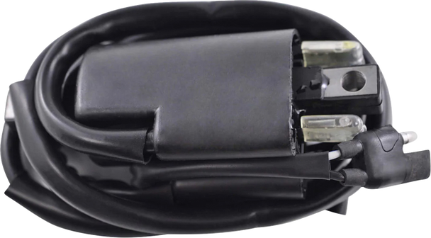 Rm Stator Ignition Coil External Ac/Sea-Doo/Linx/Ski-Doo Rm06022