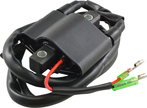 Rm Stator Ignition Coil External Arctic Cat Bearcat Rm06061
