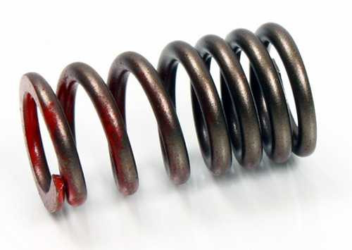 Psychic Products Psychic Exhaust Valve Spring Xu-09509Es