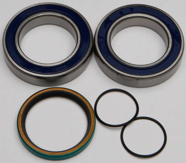 All Balls Chain Case Bearing & Seal Kit 14-1035