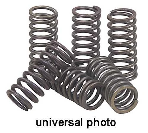 Ebc Ebc Clutch Spring Kit Csk167