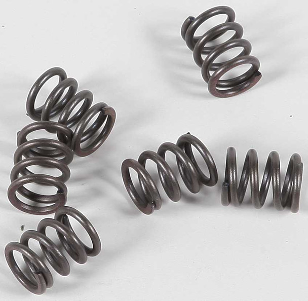 Ebc Clutch Springs Csk21 Csk21