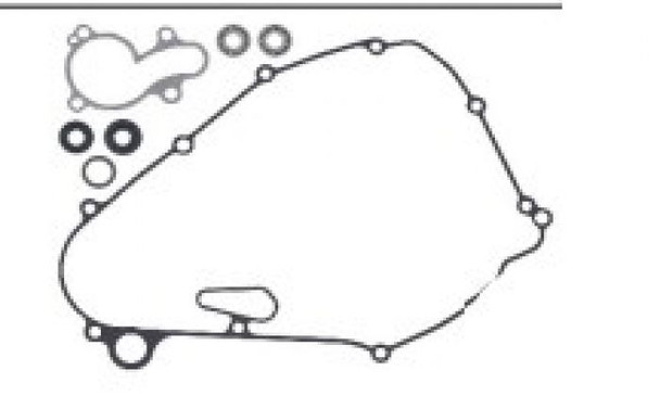 Psychic Water Pump Repair Kit MX-10264