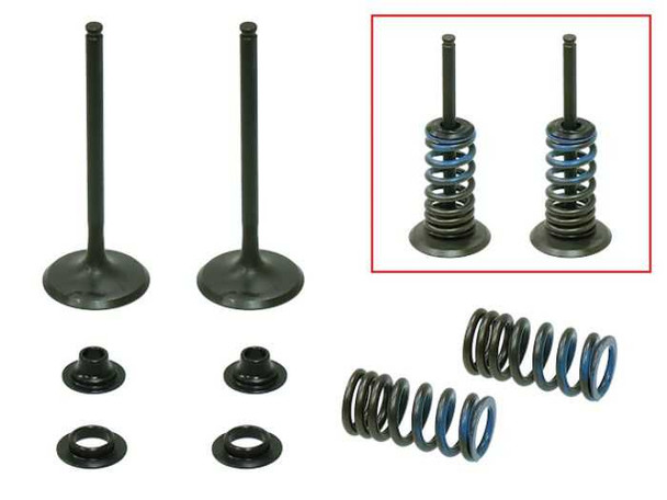 Psychic Products Psychic Intake Valve Kit Xu-09526Ik