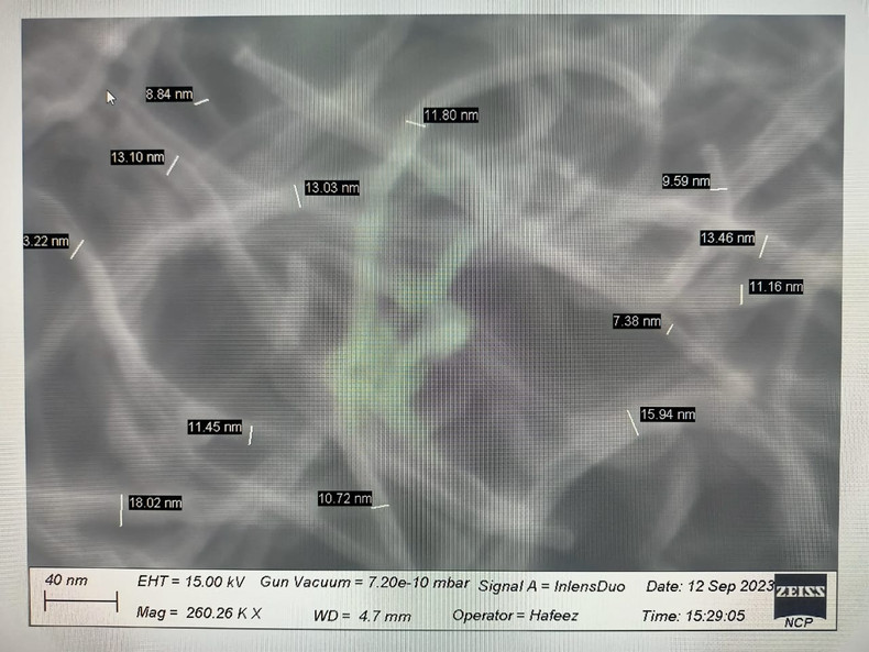 The Essential Equipment for Carbon Nanotube Growth