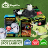 Exo Terra Halogen Basking Spot Lamp Kit 100W (3pc)