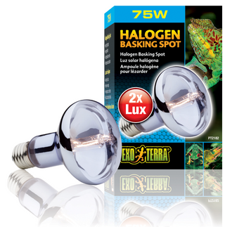 Exo Terra Halogen Basking Spot Lamp - 75 Watt (PT2182)