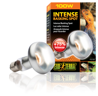 Exo Terra Intense Repti Basking Spot Lamp - 100 Watt (PT2138)