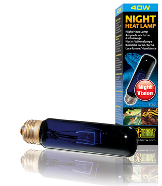 Exo Terra Night Glo Mini Bulb - 40 Watt (PT2124)