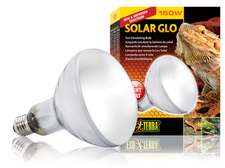Exo Terra Solar Glo Self Ballasted UV Heat Lamp - 160 Watt (PT2193)