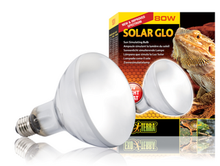 Exo Terra Solar Glo Self Ballasted UV Heat Lamp - 80 Watt (PT2334)