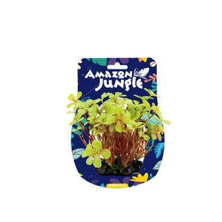 Amazon Jungle 4 Leaf Clover Display 10-12cm