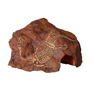 Reptile One Fossil Plesiosaur Rock Cave (37150)