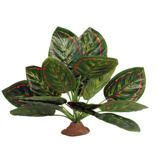 Reptile One Marantha With Resin Base (46794)