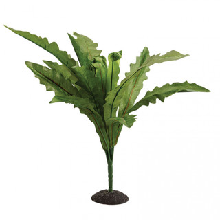 Reptile One Nidus Fern Plant 50cm (46760)