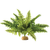Exo Terra Boston Fern - Medium 40cm (PT2995) Exo Terra Boston Fern - Medium 40cm (PT2995)