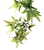 Exo Terra Forest Plant - Croton - Large (PT3020)