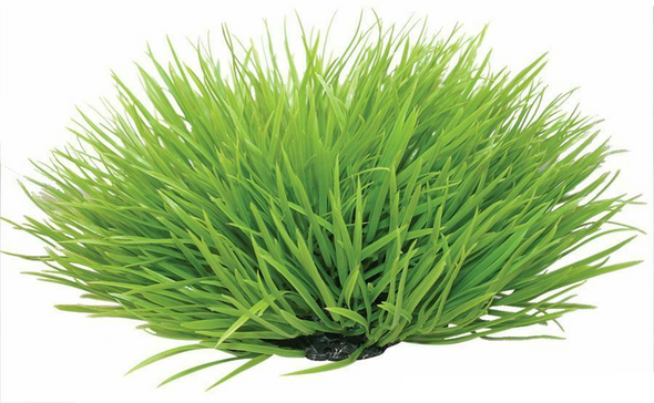 Reptile One Round Green Spinifex 30cm (46727)