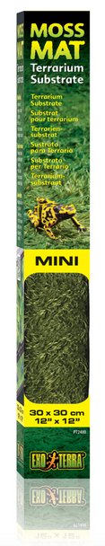 Exo Terra Forest Moss Mat Mini 30cm x 30cm (PT2480)